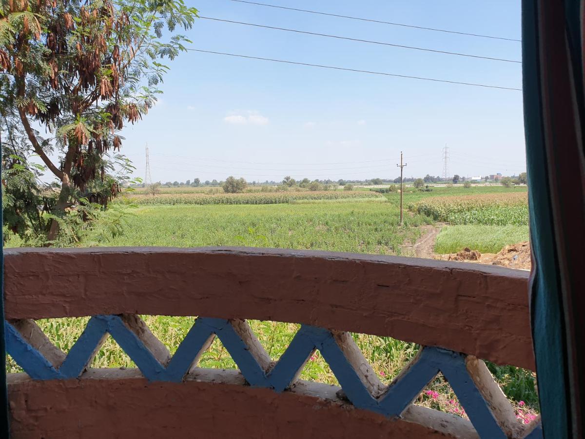 Rural Guest House فندق البيت الريفي Tanta Extérieur photo