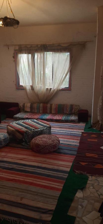 Rural Guest House فندق البيت الريفي Tanta Extérieur photo